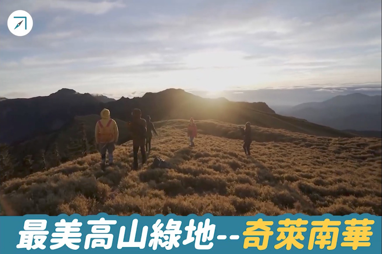 雲海、峭壁、黃金大草原！最美高山綠地「奇萊南華」——徜徉在金色地毯中！（影片）
