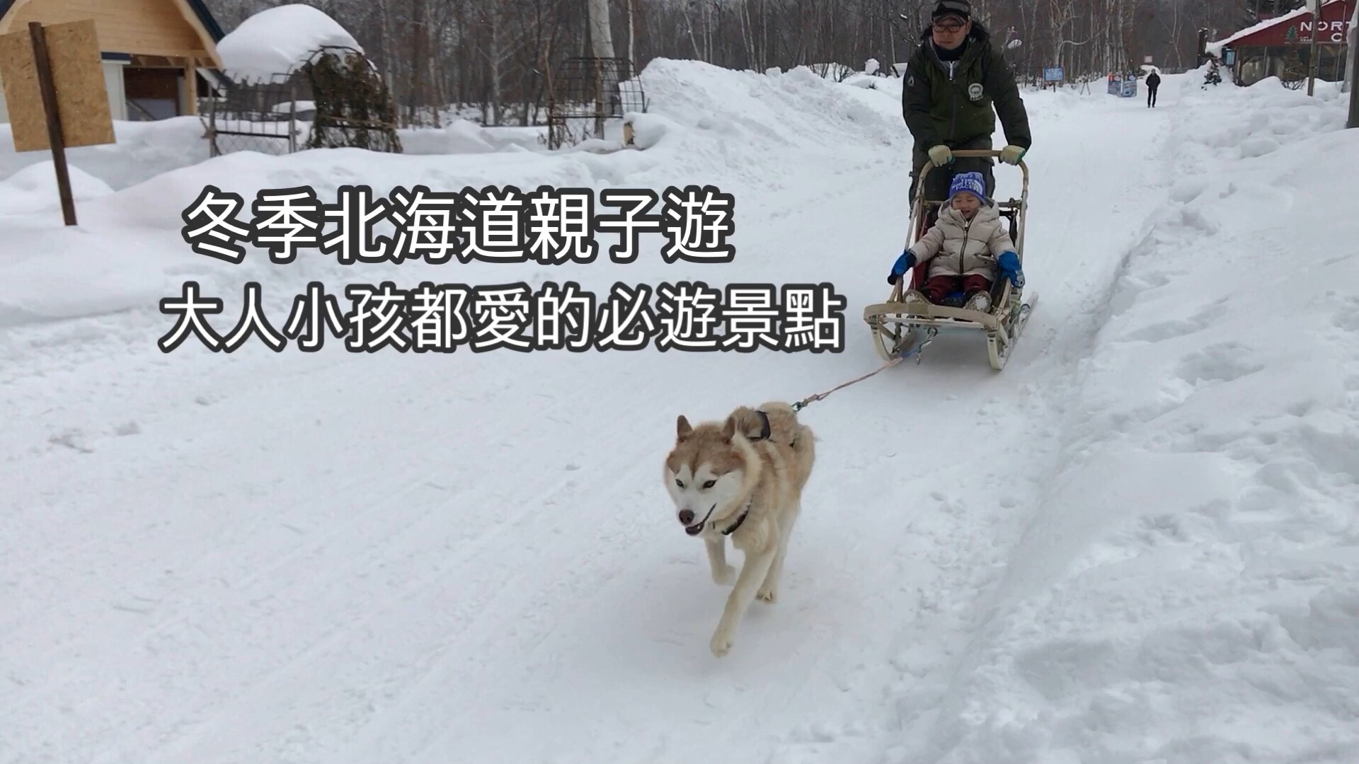 【冬北海道 札幌】大人小孩都能玩得盡興 札幌體驗型動物園