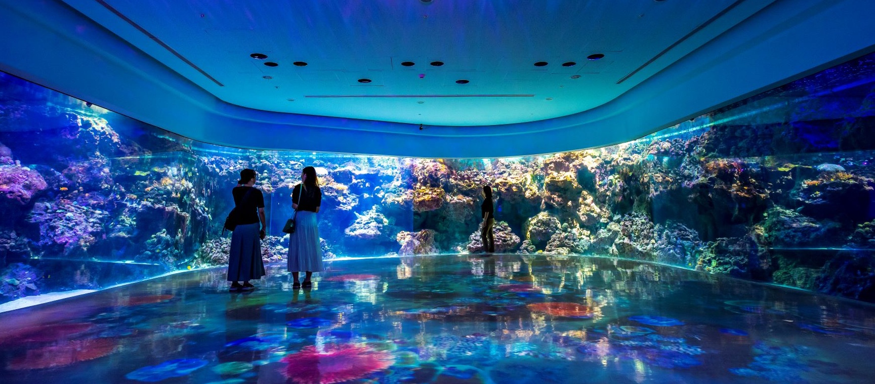 Xpark 水族館推出「七夕情人節星光特別場」，期間限定體驗夜訪水族館的樂趣！