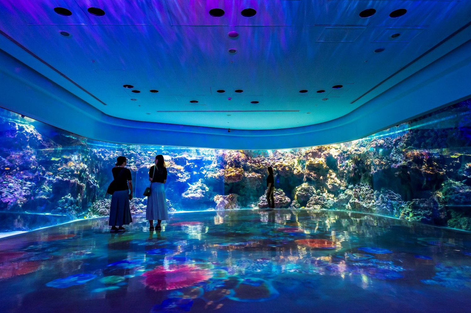 Xpark 水族館推出「七夕情人節星光特別場」，期間限定體驗夜訪水族館的樂趣！