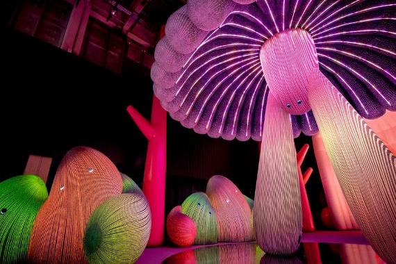 《AI 靈感大師：澳洲 3D 光影觸動樂園》展覽亮點、資訊一次看