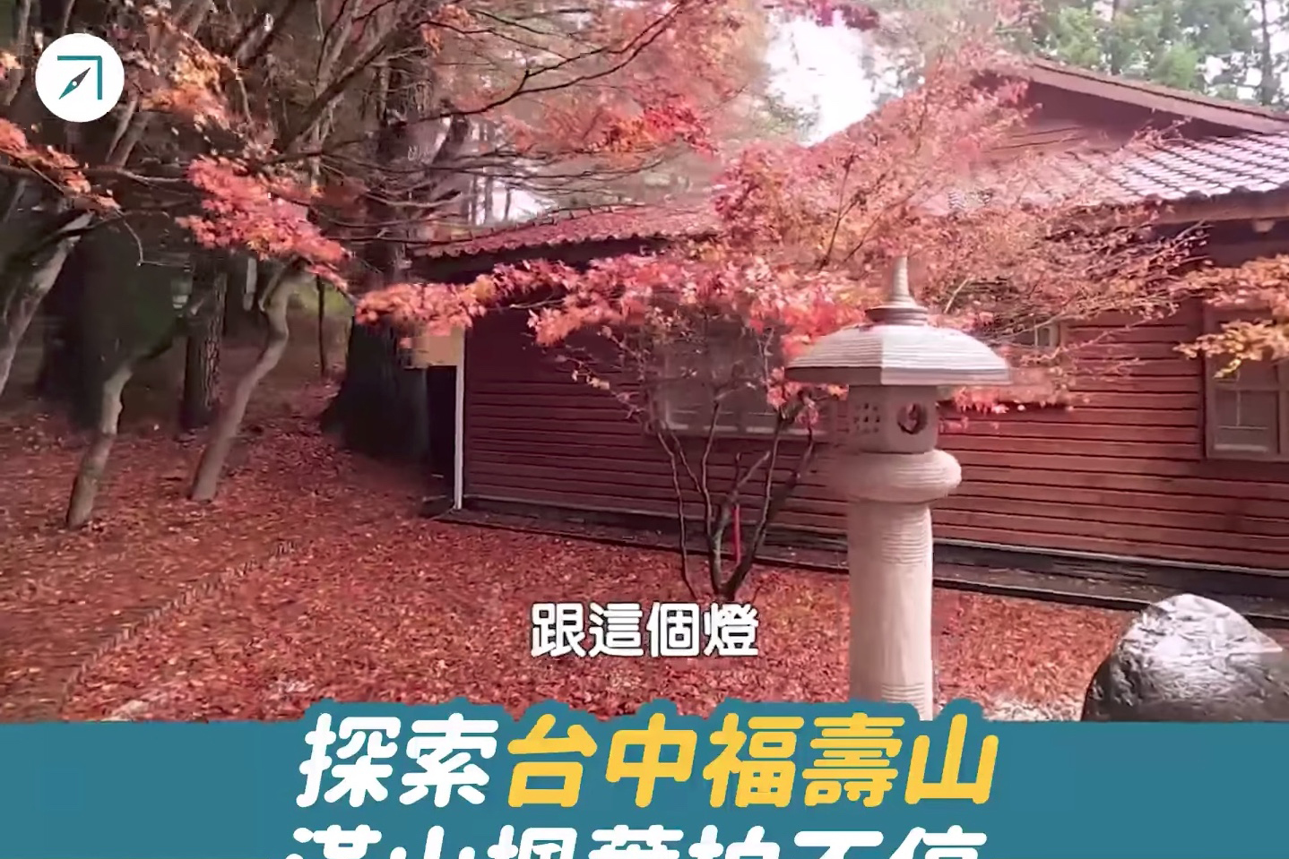 探索台中福壽山 滿山楓葉拍不停（影片）