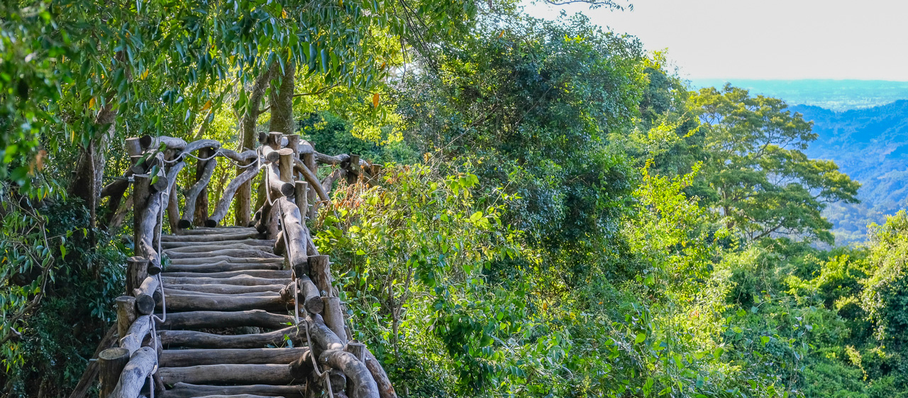 台中・大坑二號登山步道｜超美原木棧道，接近垂直的好漢坡，有趣美麗但懼高者勿試！