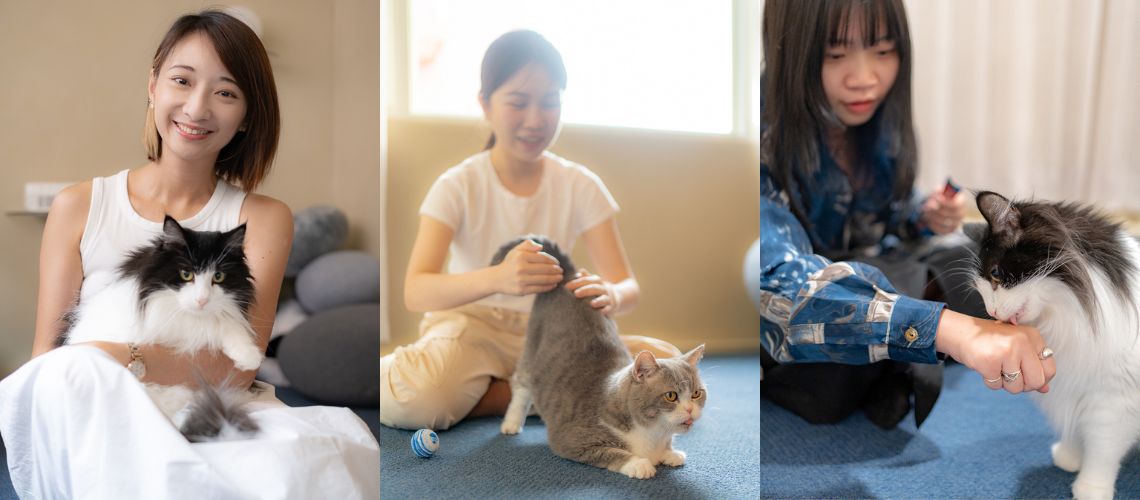 宜蘭・住宿｜貓的生活提案「Māode+ 貓的家」，體驗與貓一起生活的 22 小時