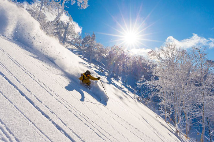 北海道 5 間超人氣滑雪場推薦！交通資訊攻略、包車行程免推行李